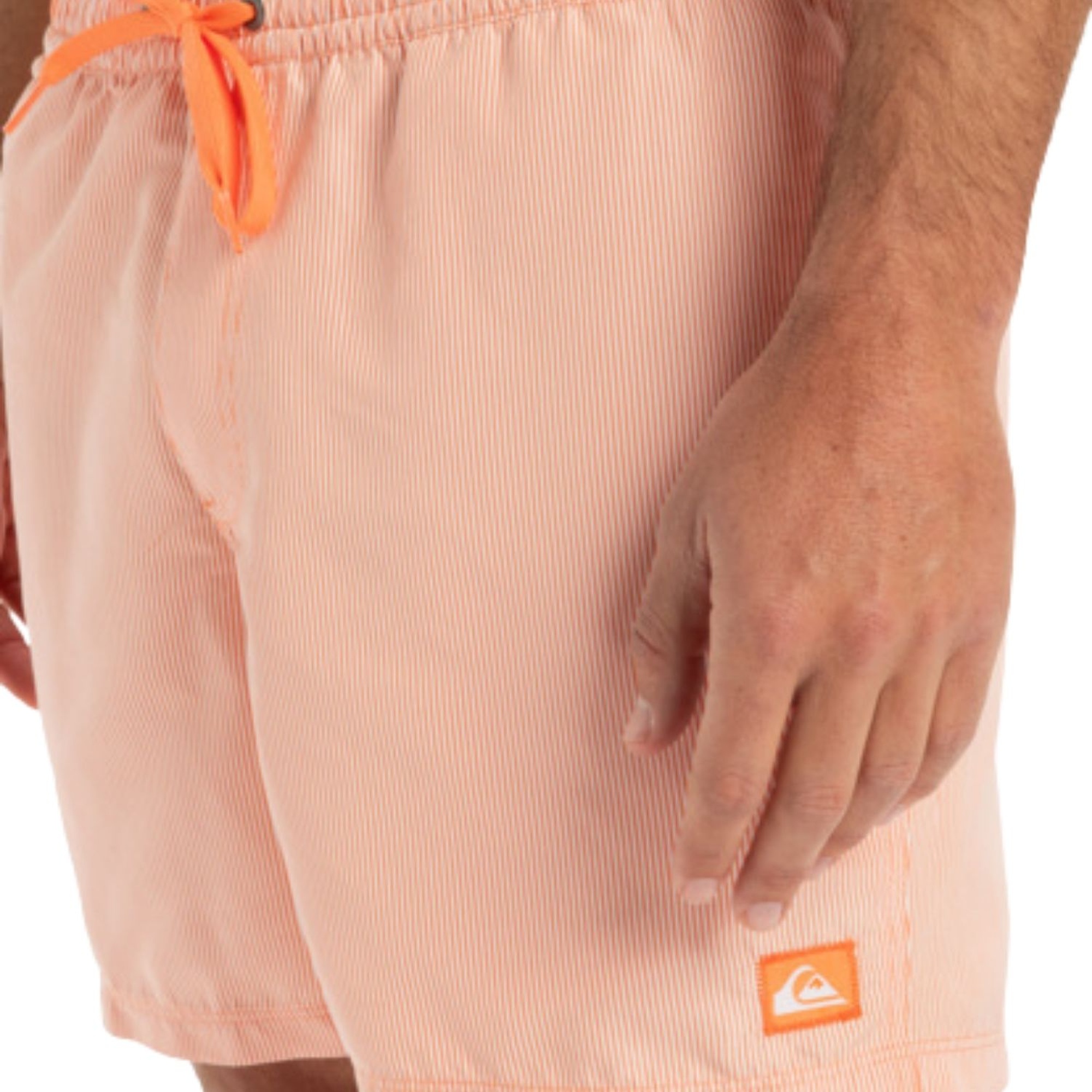 Quiksilver Everyday Deluxe 15 Erkek Volley Short
