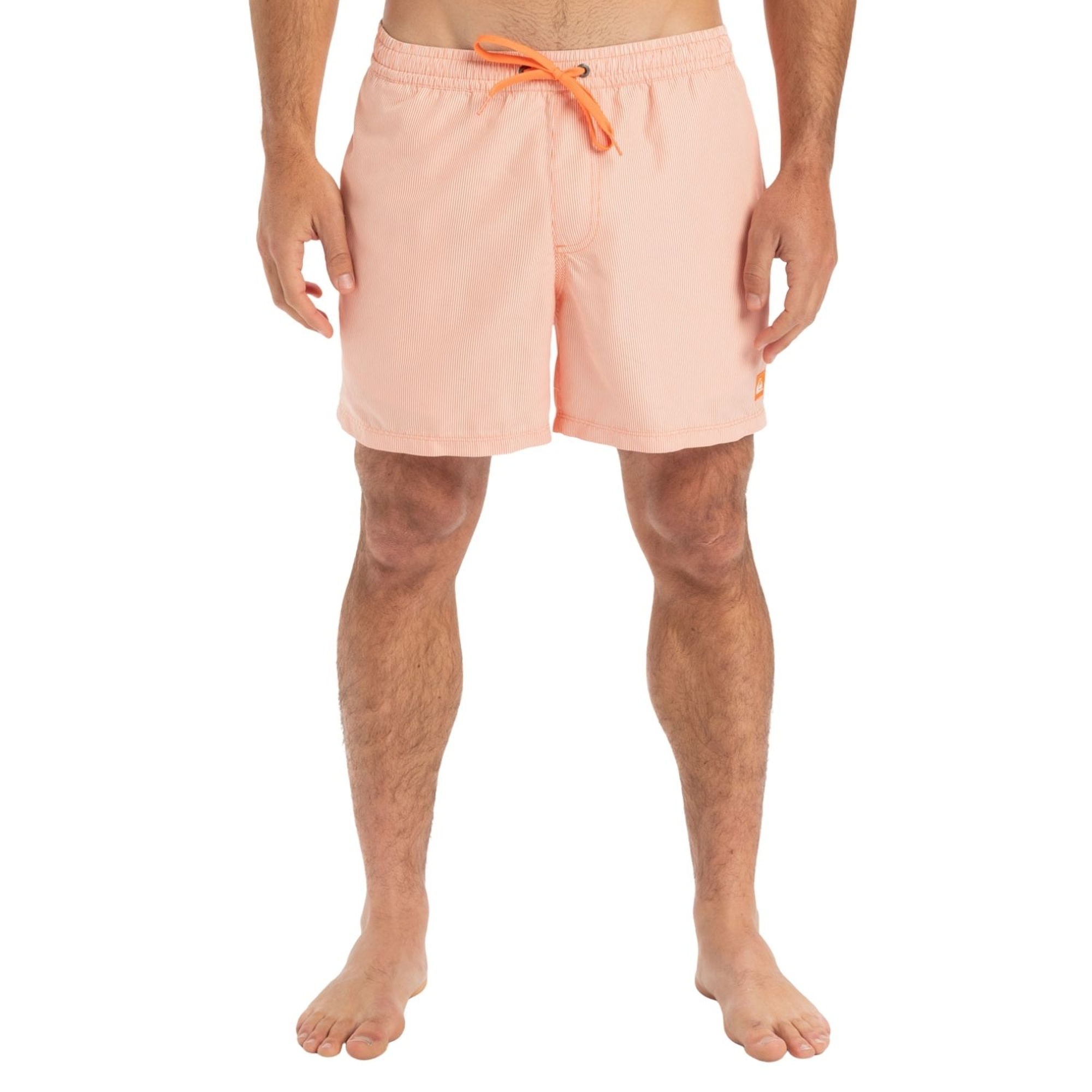 Quiksilver Everyday Deluxe 15 Erkek Volley Short