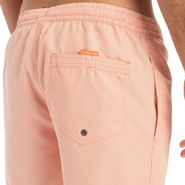  Quiksilver Everyday Deluxe 15 Erkek Volley Short