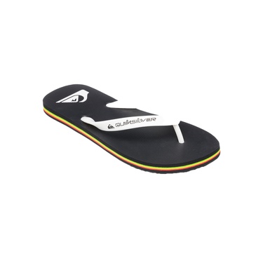  Quiksilver Molokai Core Erkek Terlik