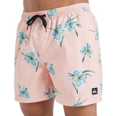  Quiksilver Everyday Straight 15 Erkek Volley Short