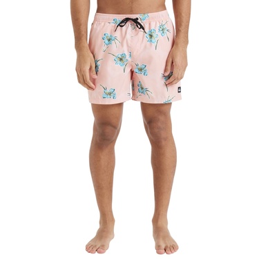  Quiksilver Everyday Straight 15 Erkek Volley Short