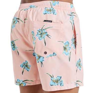  Quiksilver Everyday Straight 15 Erkek Volley Short