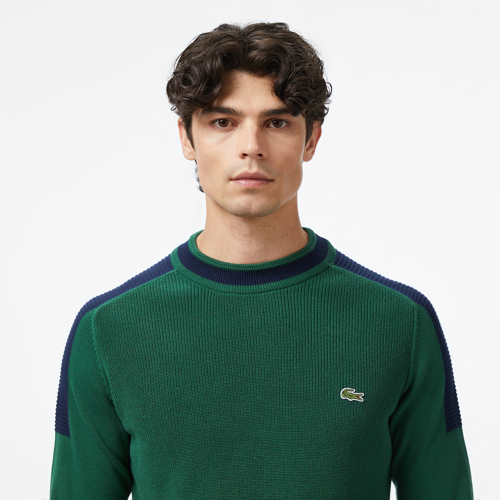 Lacoste Erkek Classic Fit Bisiklet Yaka Renk Bloklu Yeşil Kazak