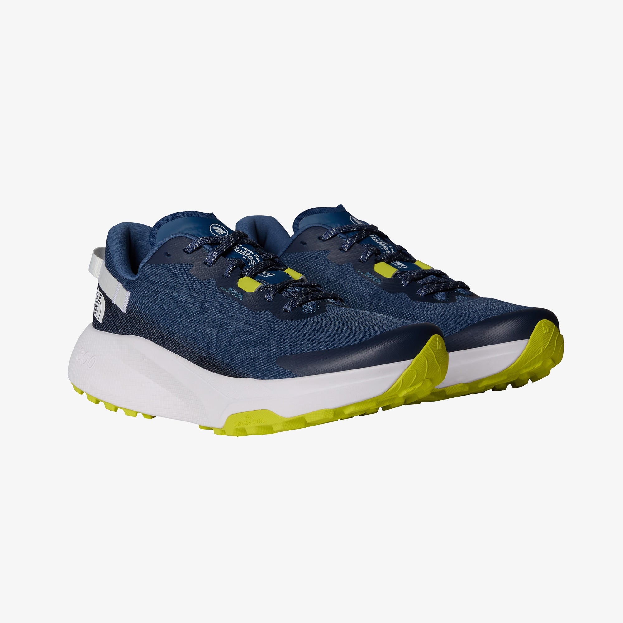 The North Face Altamesa 300 Erkek Mavi Koşu Ayakkabısı