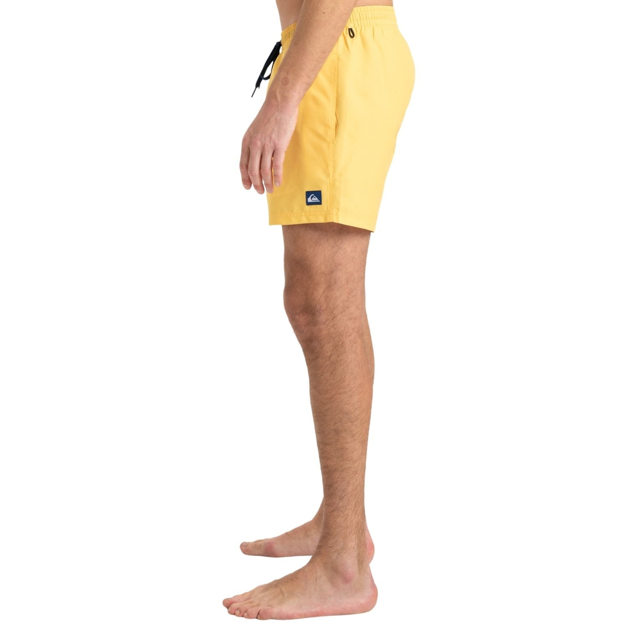 Quiksilver Everyday Solid 15 Erkek Volley Short
