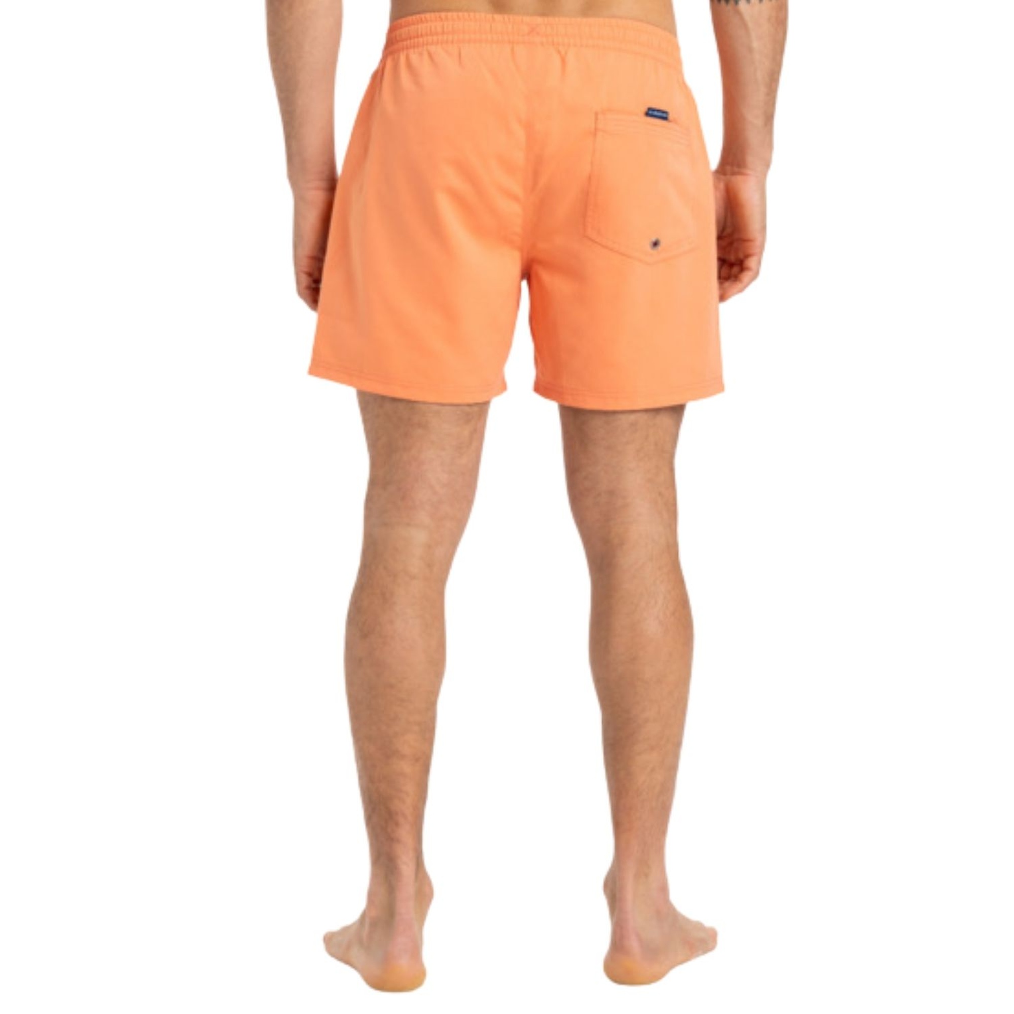 Quiksilver Everyday Solid 15 Erkek Volley Short
