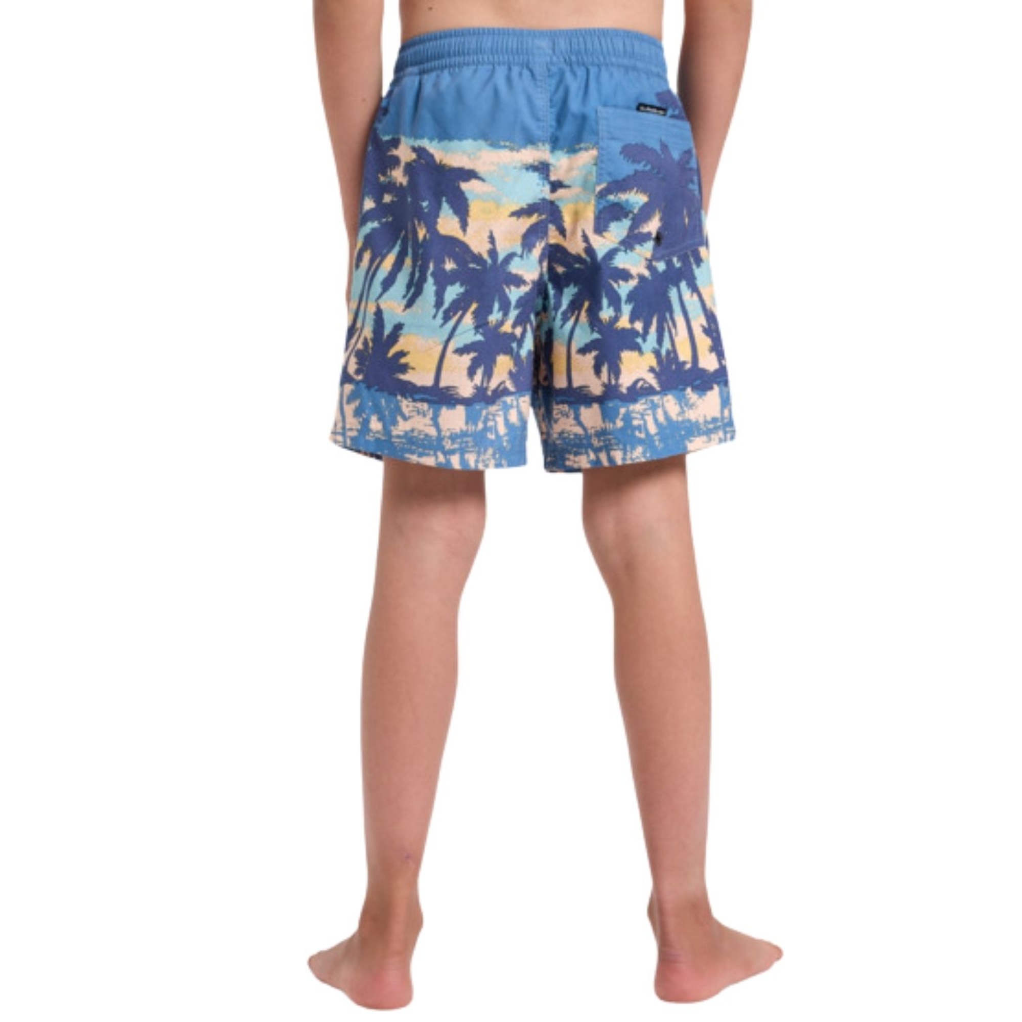 Quiksilver Everyday Straight Yth14 Erkek Çocuk Volley Short