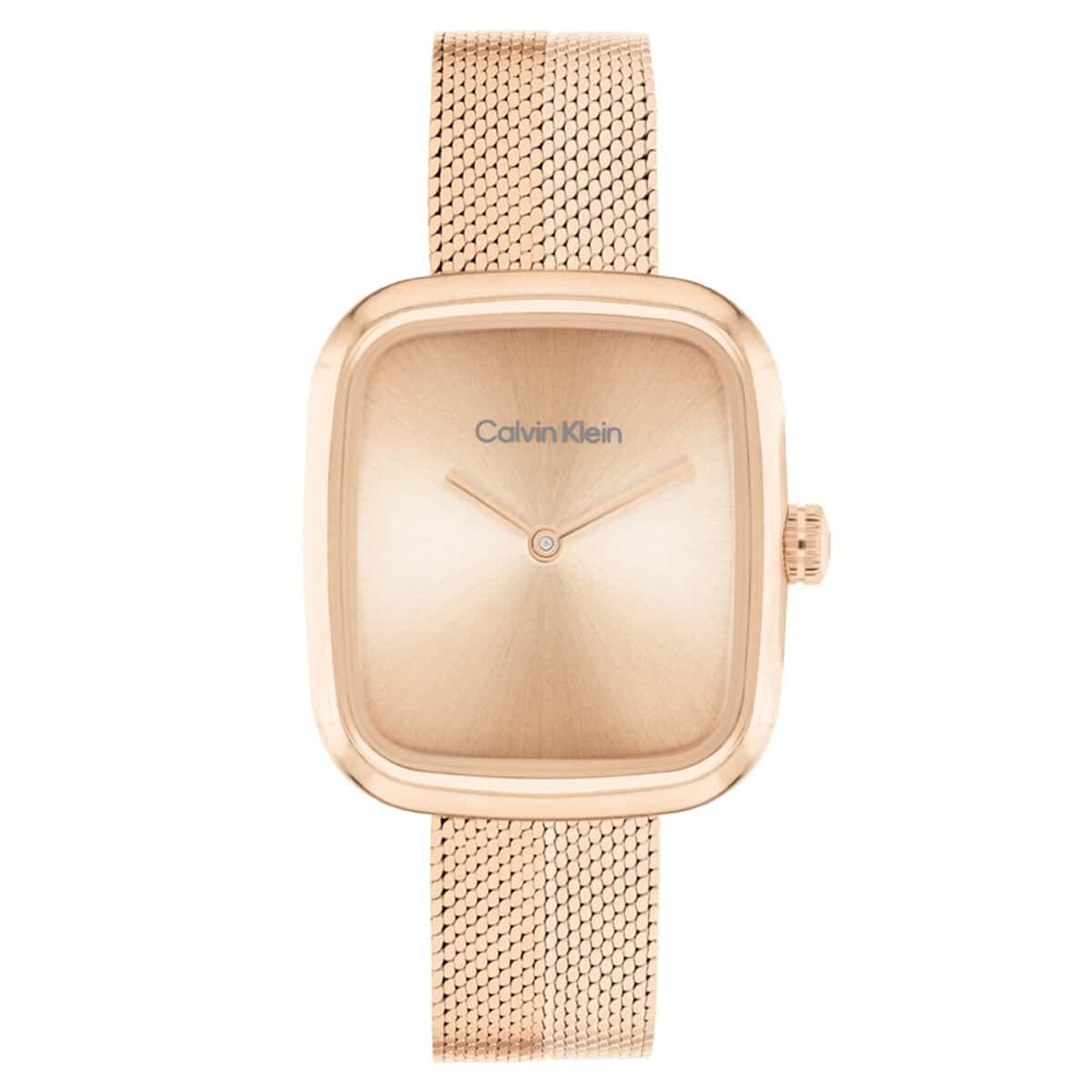 Calvin Klein CK25100101 Kadın Kol Saati