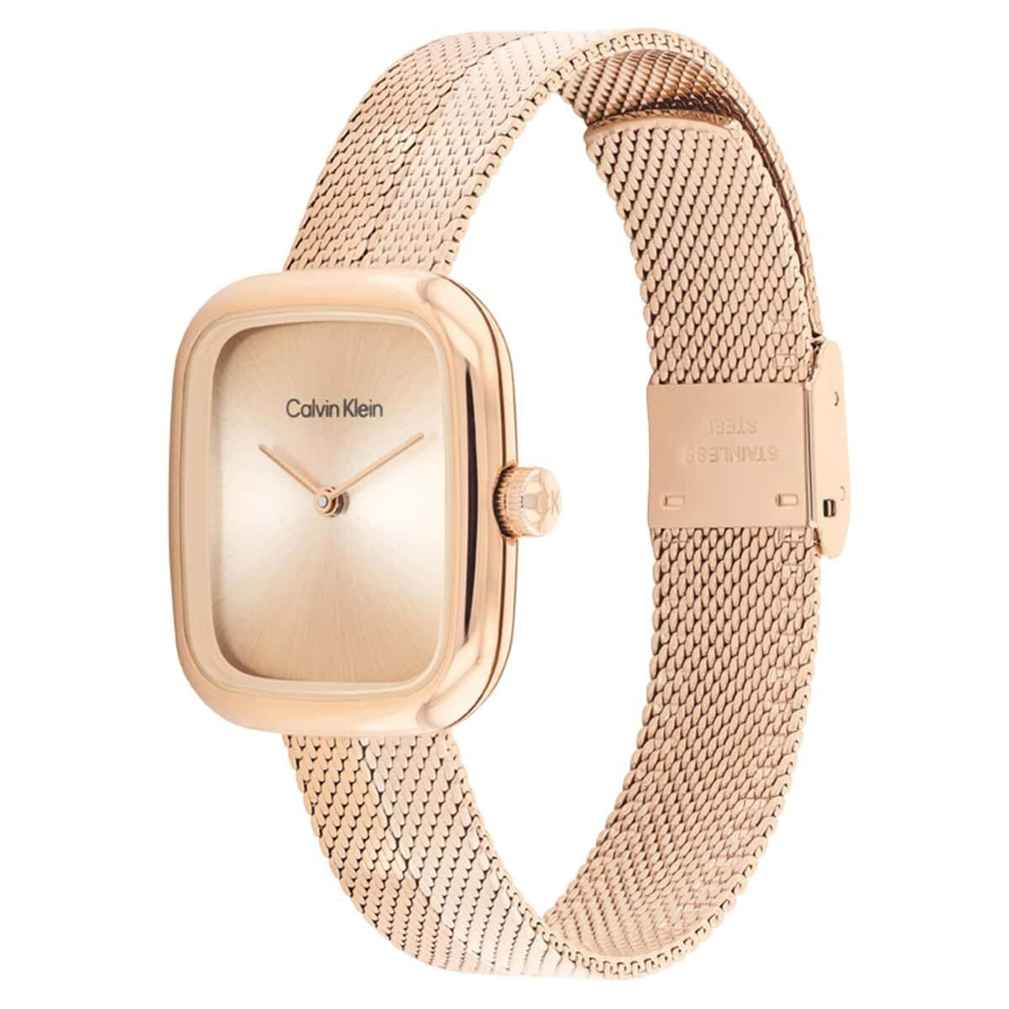 Calvin Klein CK25100101 Kadın Kol Saati