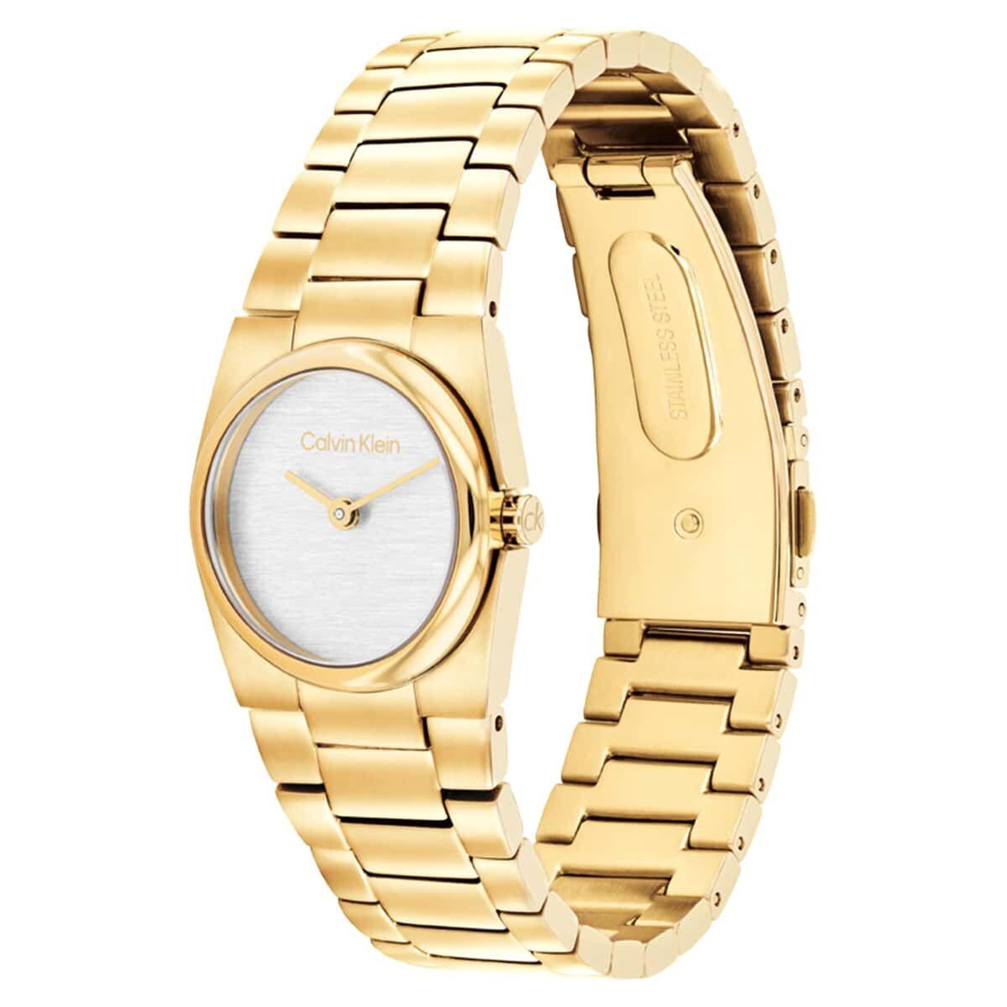 Calvin Klein CK25100122 Kadın Kol Saati