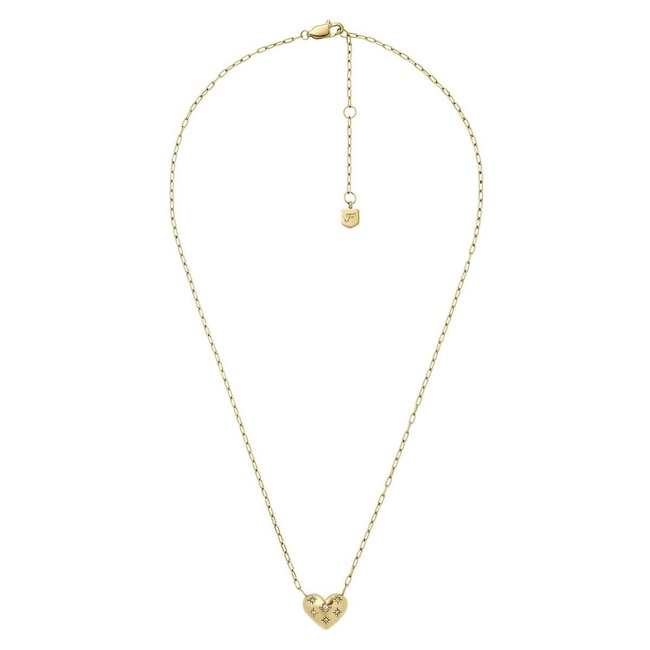  Fossil JF04856-710 Kalpli Kadın Kolye