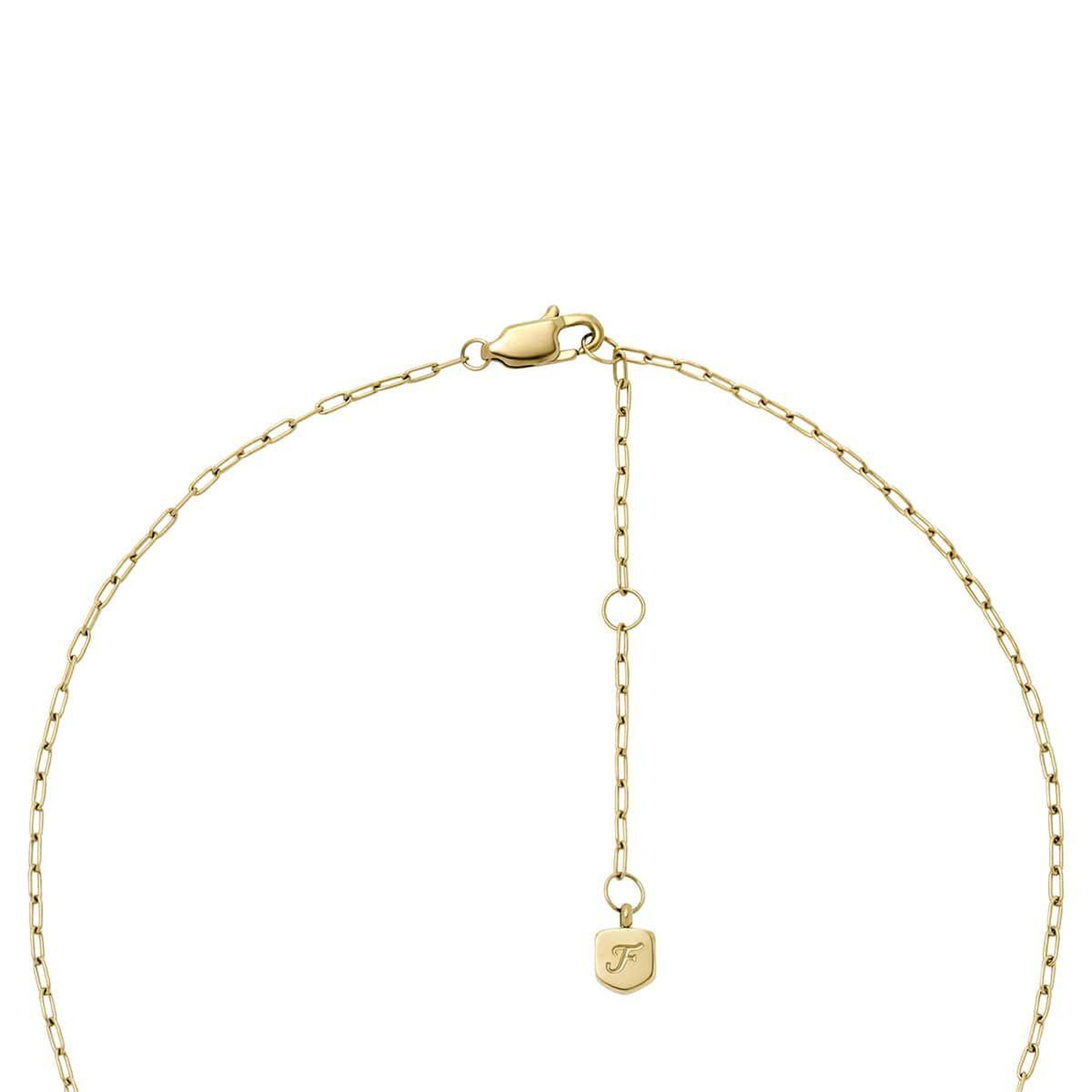 Fossil JF04856-710 Kalpli Kadın Kolye