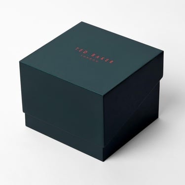  Ted Baker TBBKPAMS304 Kadın Kol Saati