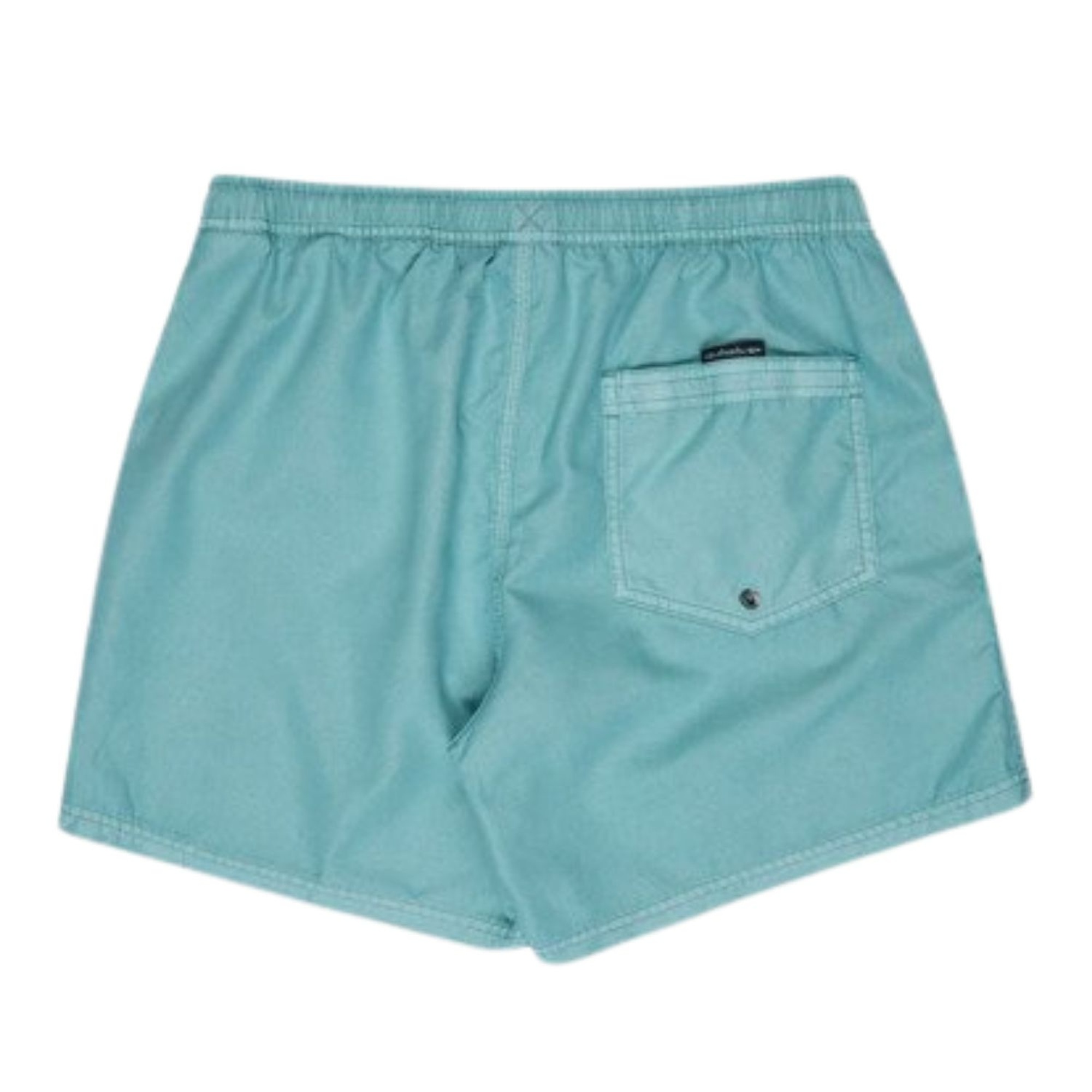 Quiksilver Everyday Surfwash 15 Erkek Volley Short