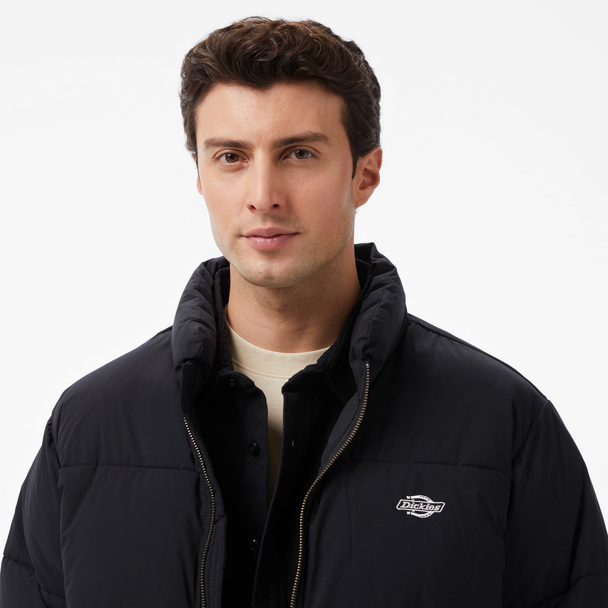 Dickies Summerdale Puffer Erkek Siyah Ceket