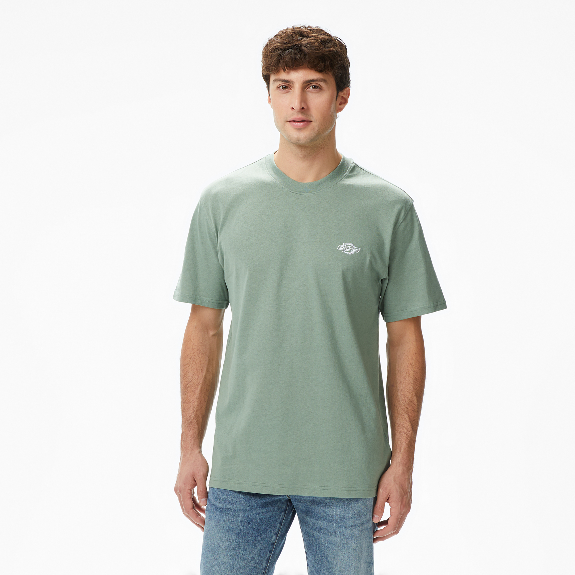  Dickies Summerdale Erkek Yeşil T-Shirt