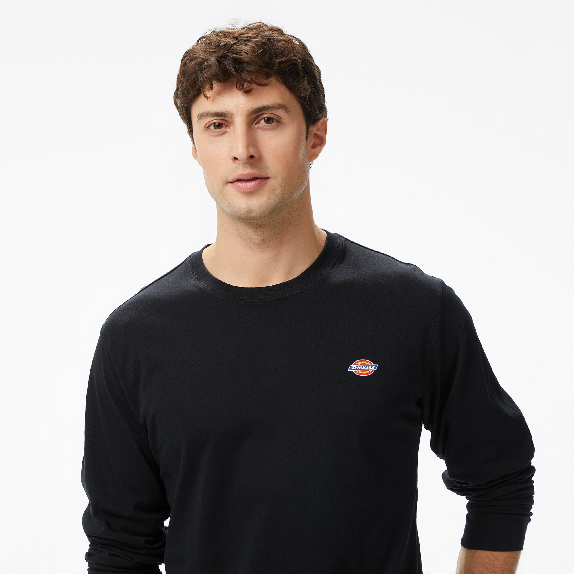 Dickies Mapleton Erkek Siyah T-Shirt