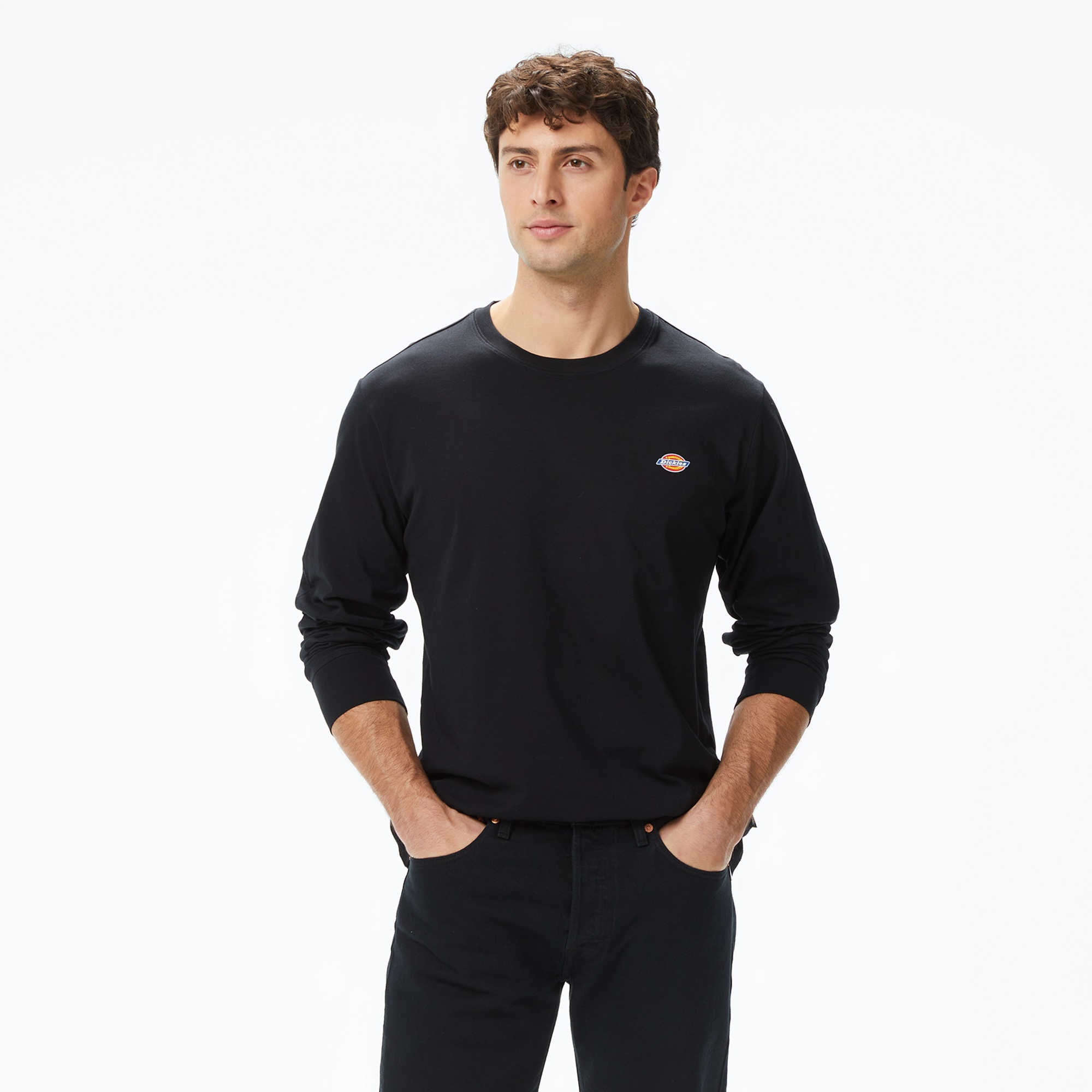 Dickies Mapleton Erkek Siyah T-Shirt