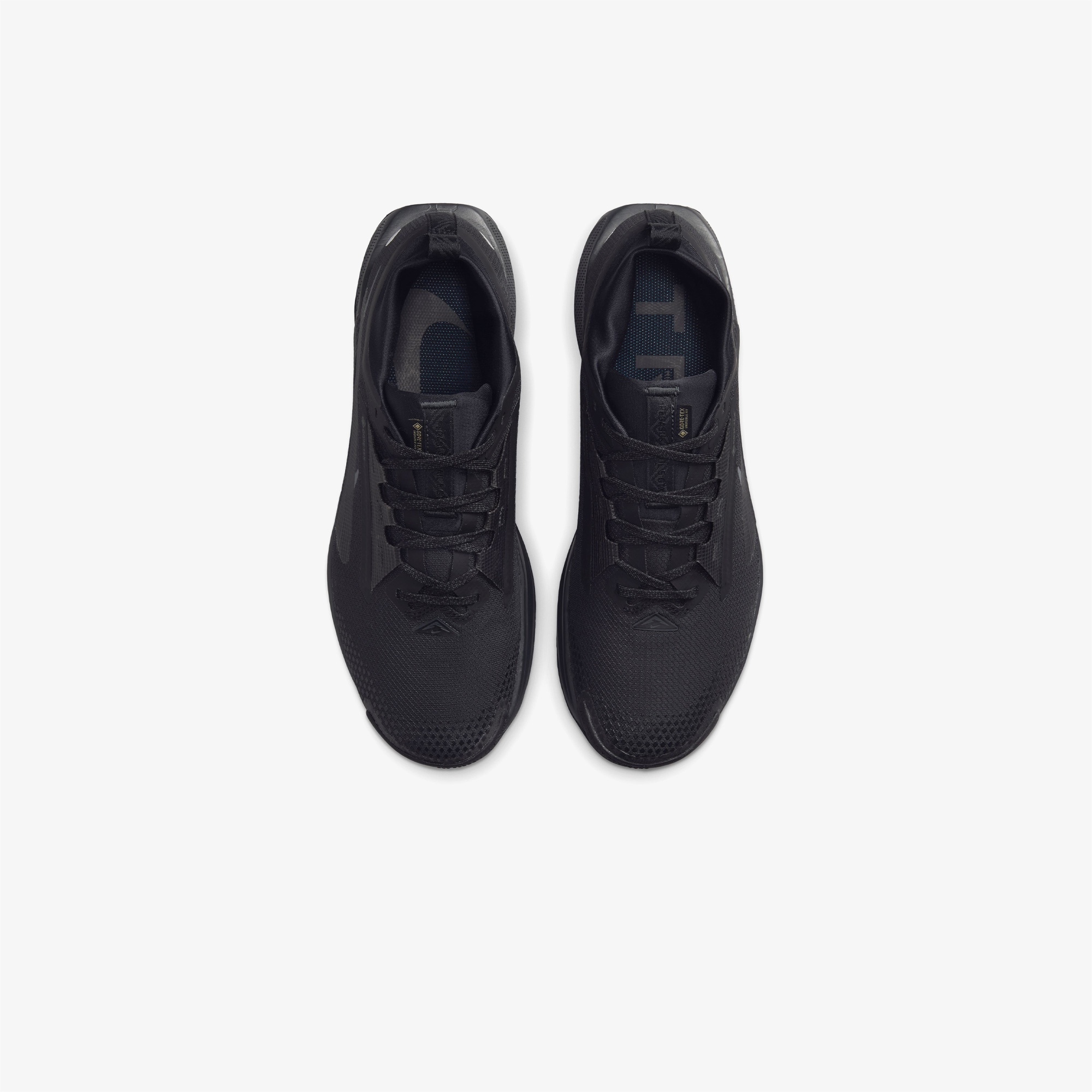 Nike Pegasus Trail 5 Gore-Tex Erkek Siyah Koşu Ayakkabısı