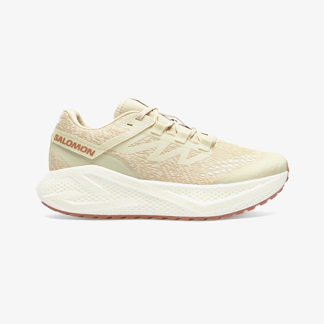  Salomon Aero Glide 3 Grvl Erkek Bej Koşu Ayakkabısı