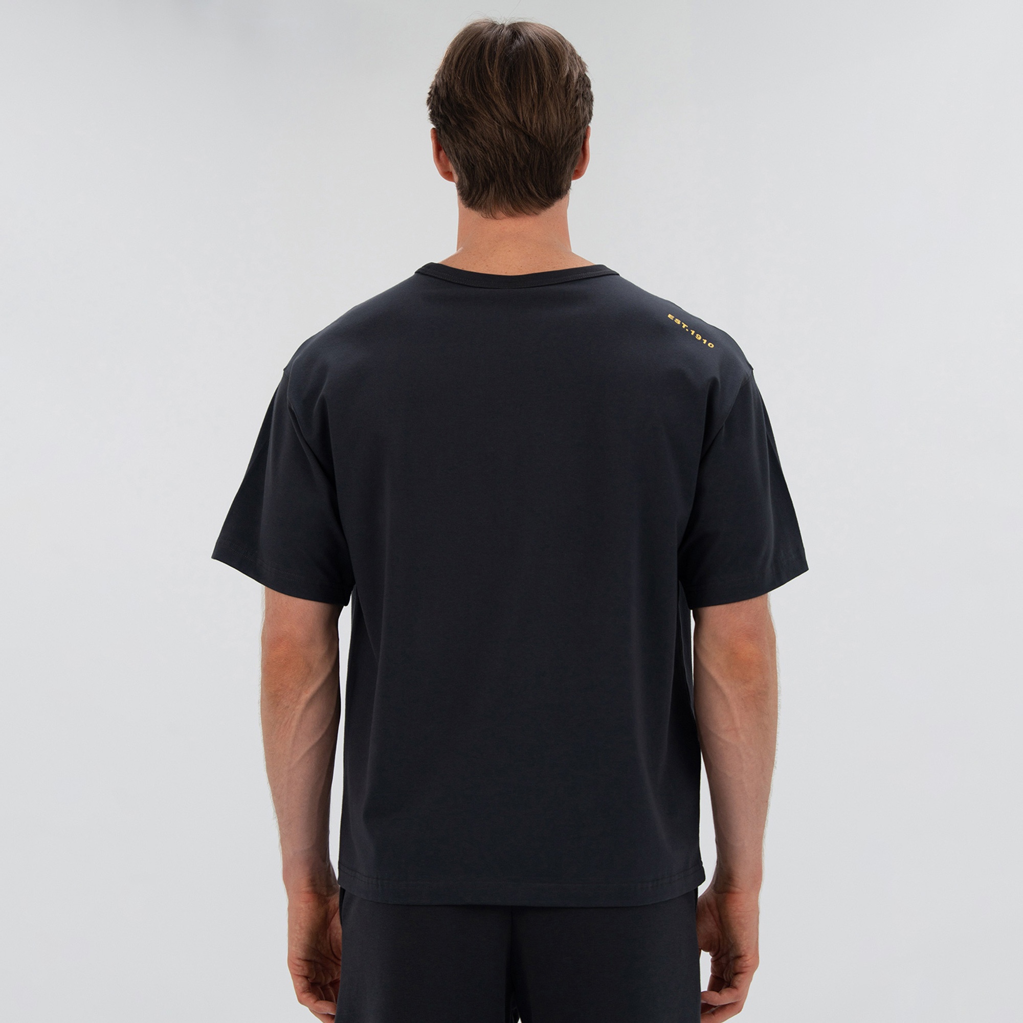 Everlast 1910 Classic Comfort Erkek Gri T-Shirt