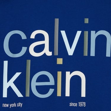  Calvin Klein Color Logo Graphic Çocuk Mavi T-Shirt