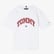 Tommy Hilfiger Varsity Raised Print Çocuk Lacivert T-Shirt