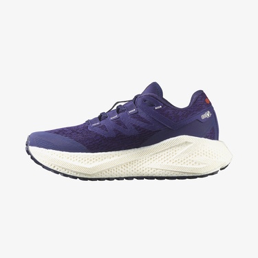  Salomon Aero Glide 3 Grvl Kadın Lacivert Koşu Ayakkabısı