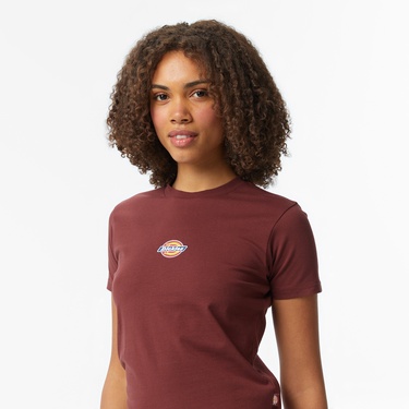  Dickies Maple Valley Kadın Kahverengi T-Shirt