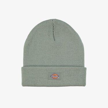  Dickies Gibsland Erkek Yeşil Bere