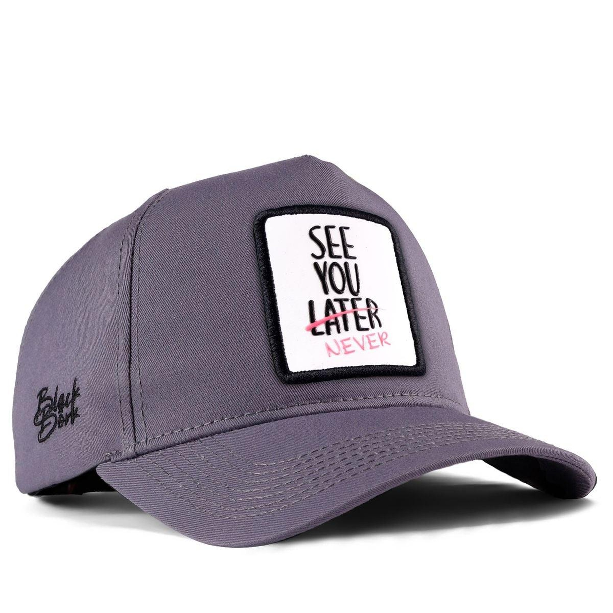 BlackBörk, See You Later Never Logolu Gri Beyzbol Şapka, Unisex