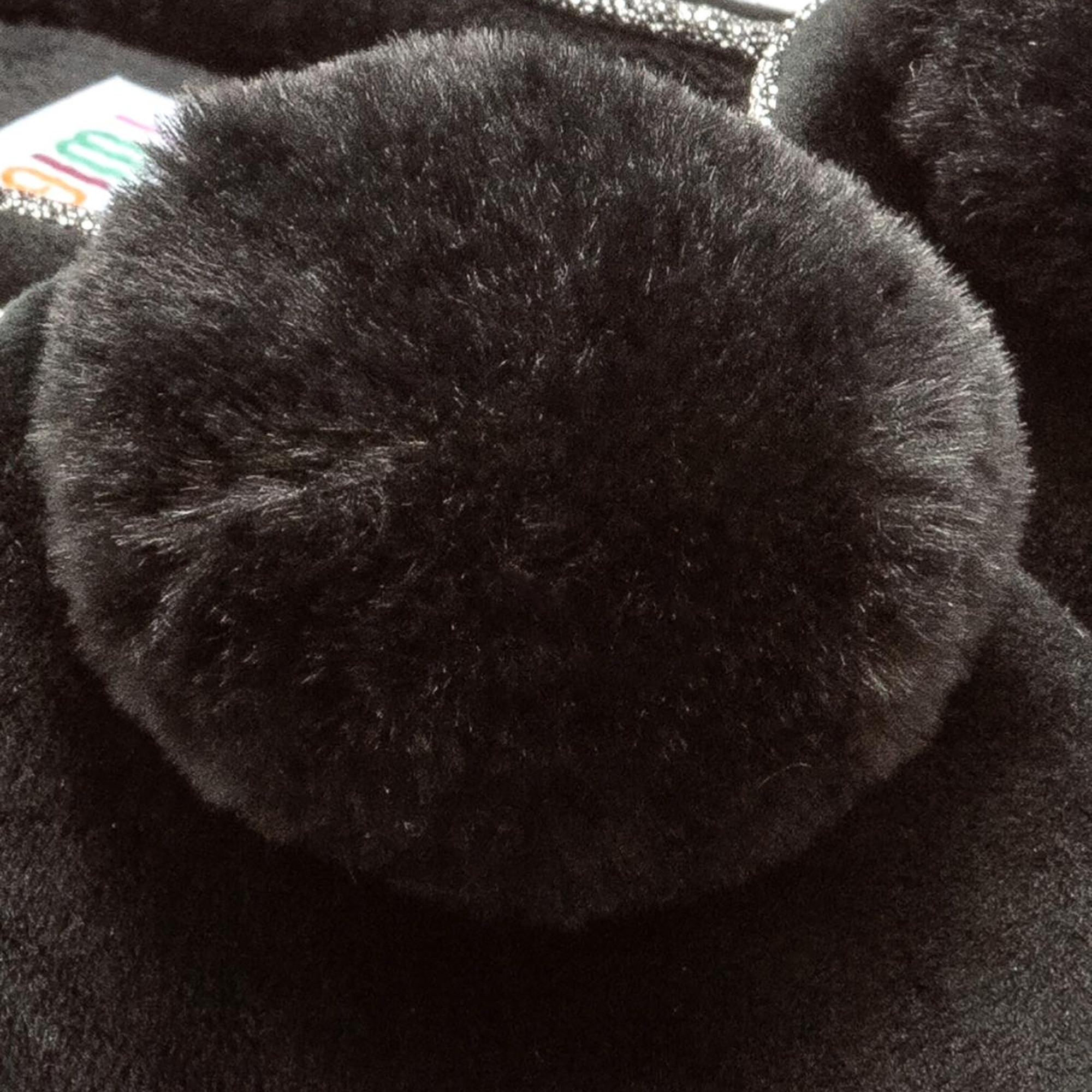 Lori Kadın Ev Terliği Siyah 37/41