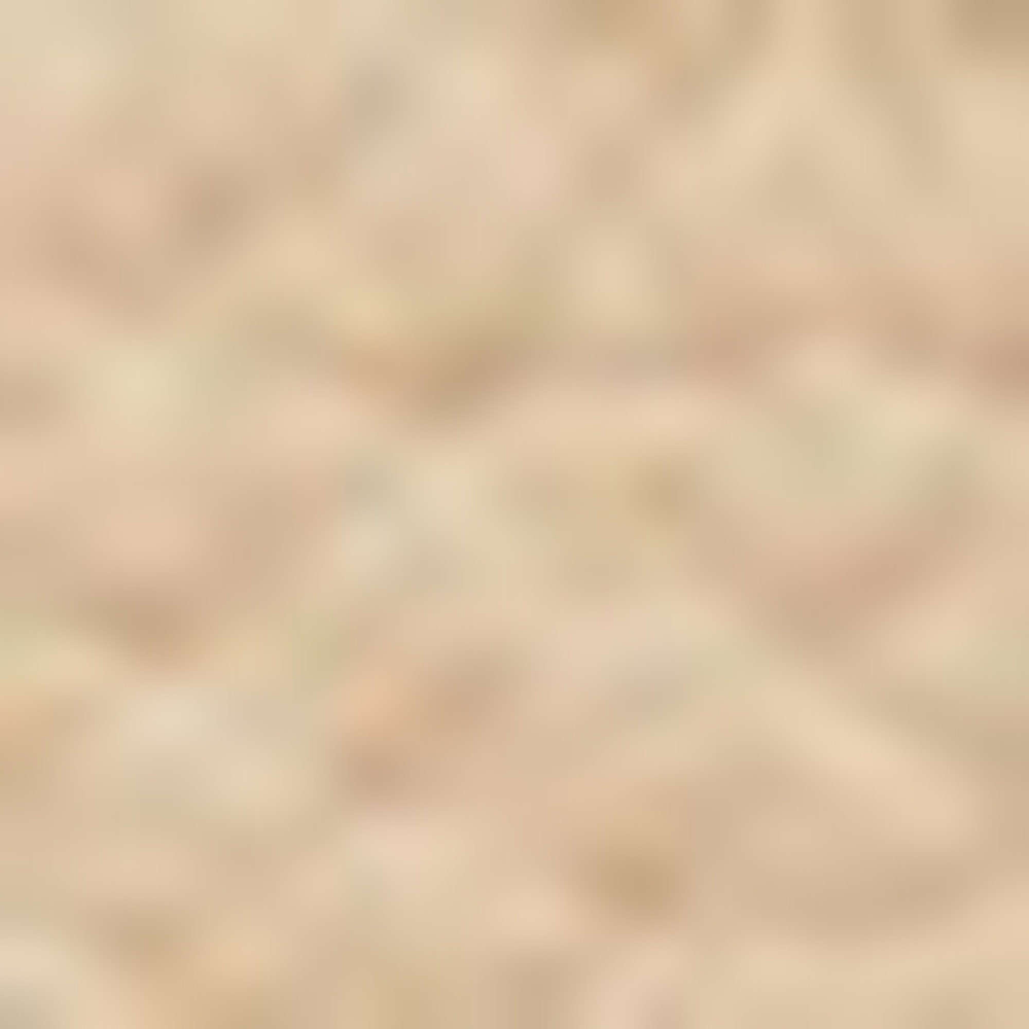 Nautica Kadın Kahverengi Omuz Çantası