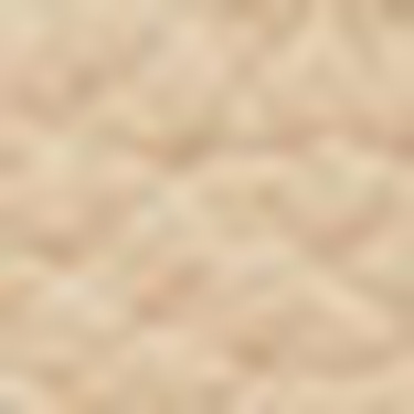  Nautica Kadın Kahverengi Omuz Çantası