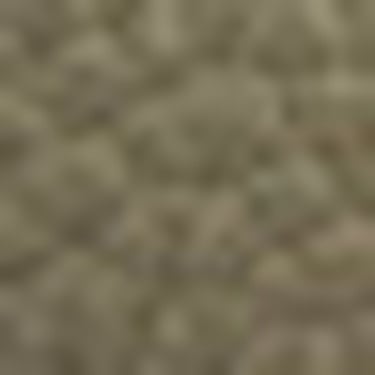  Nautica Kadın Yeşil Omuz Çantası