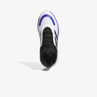  adidas Bounce Legends Erkek Beyaz Basketbol Ayakkabısı