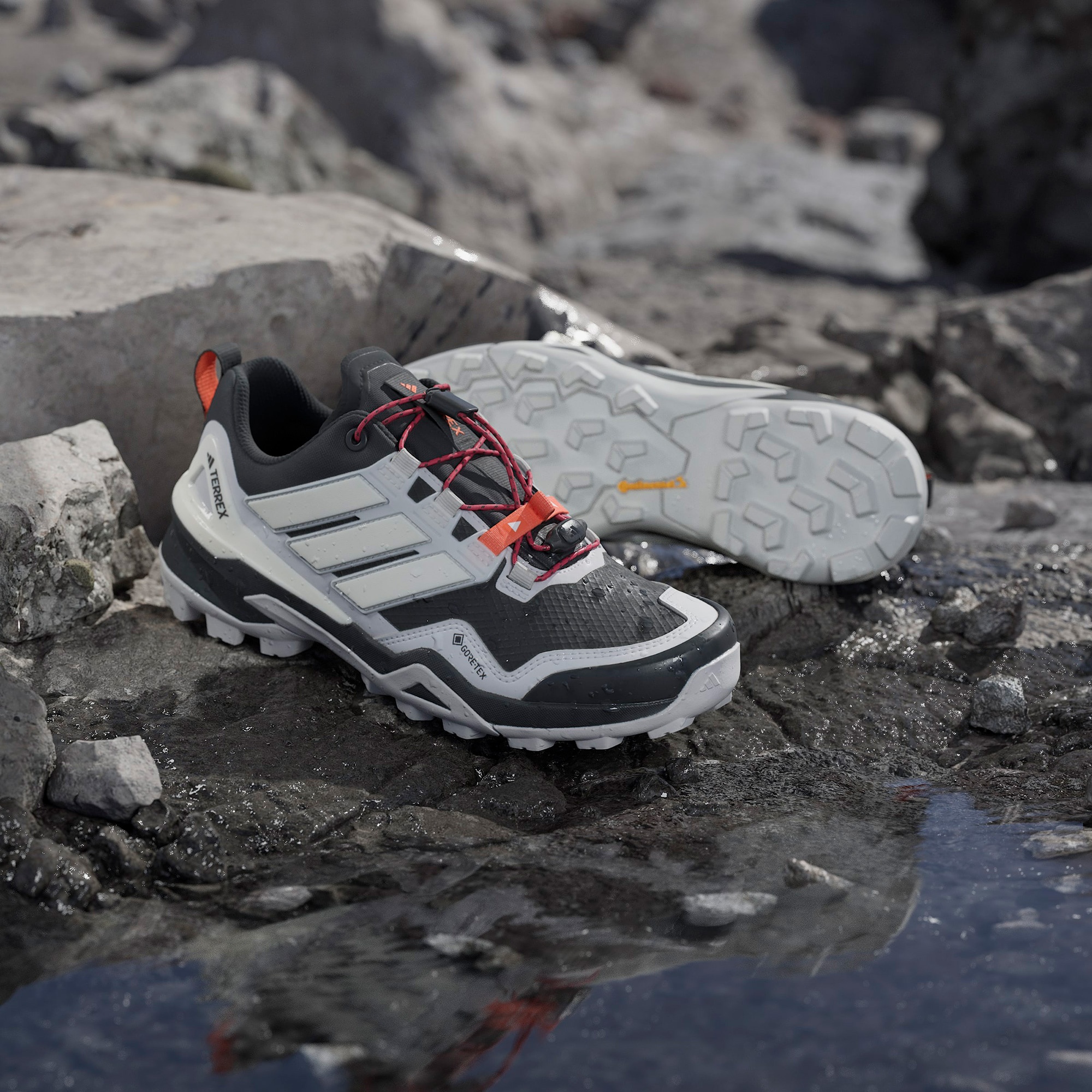 adidas Terrex Skychaser Gore-Tex Kadın Siyah Koşu Ayakkabısı