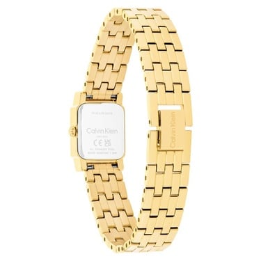  Calvin Klein CK25100162 Kadın Kol Saati