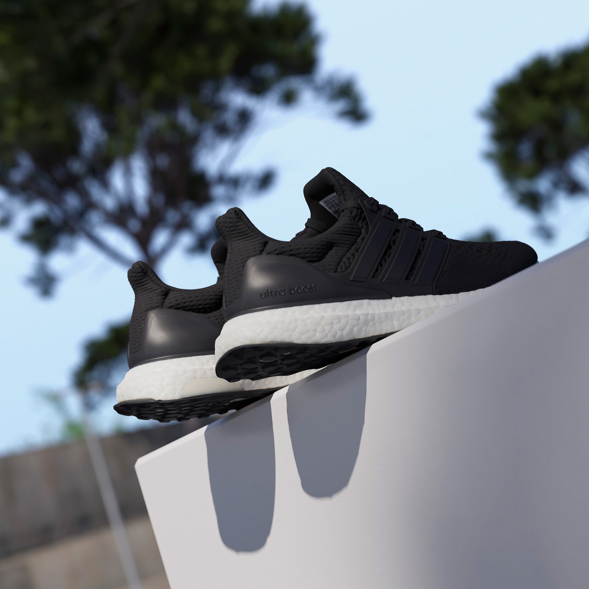 adidas Ultraboost 1.0 W Kadın Siyah Koşu Ayakkabısı