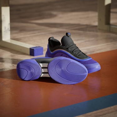  adidas D.O.N. Issue 6 Erkek Mor Basketbol Ayakkabısı