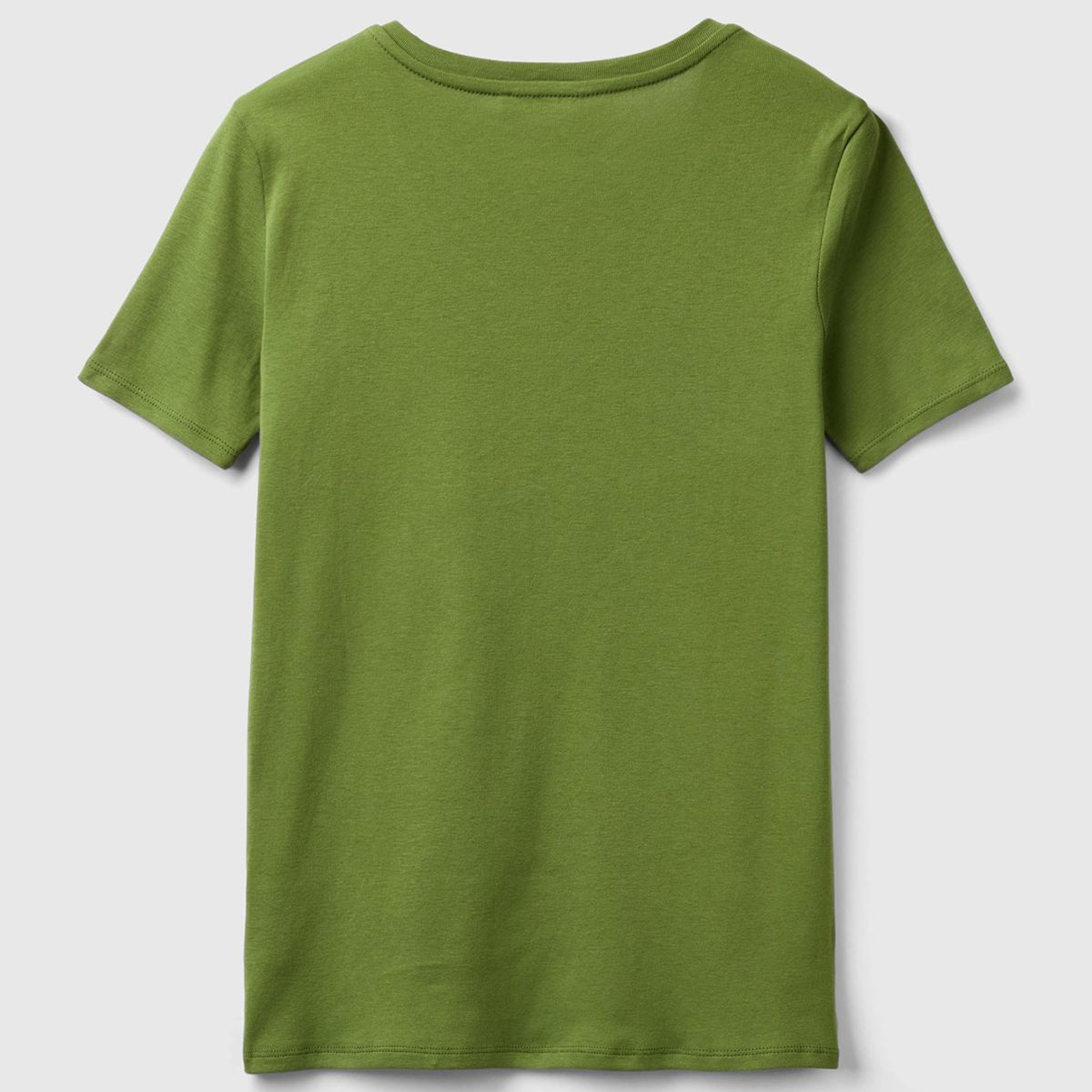 Kadın Soluk Yeşil %100 Pamuk V Yaka Basic T-Shirt