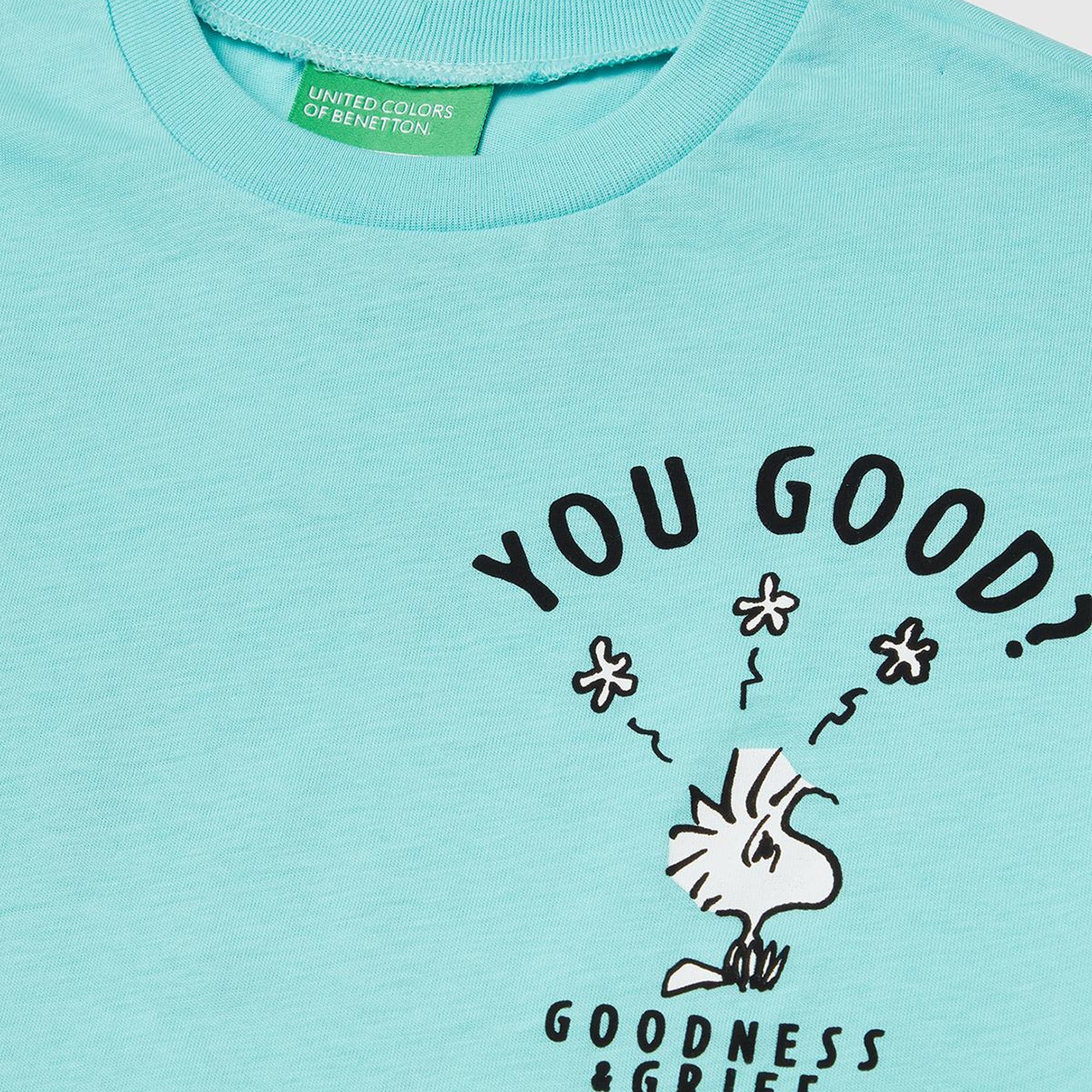 Erkek Çocuk Su Yeşili Peanuts Baskılı T-Shirt