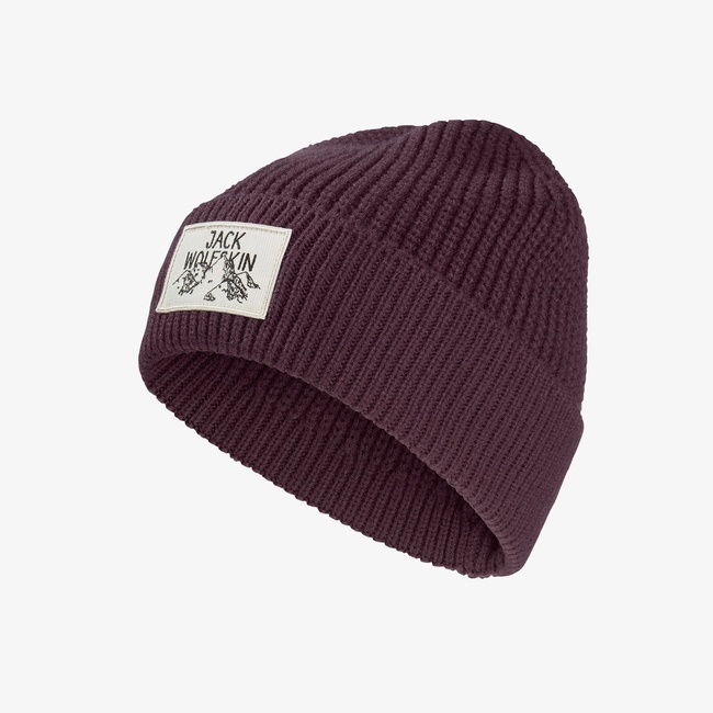  Jack Wolfskin Badge Unisex Yeşil Outdoor Bere