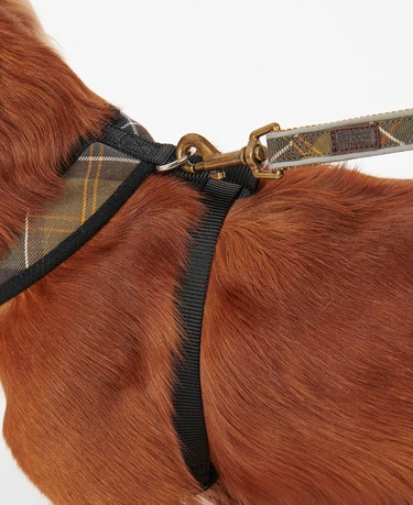  Barbour Tartan Köpek Göğüs Tasması