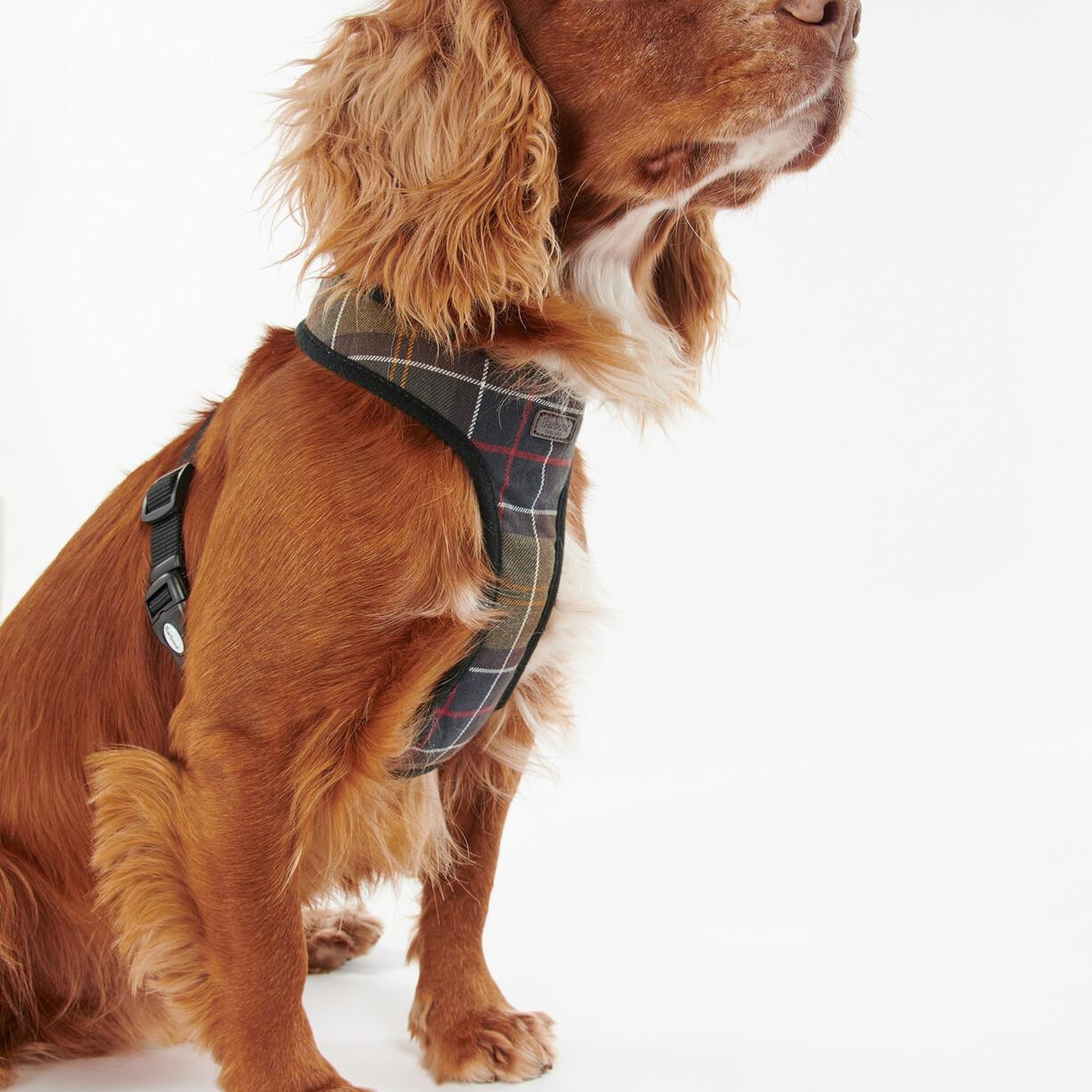 Barbour Tartan Köpek Göğüs Tasması