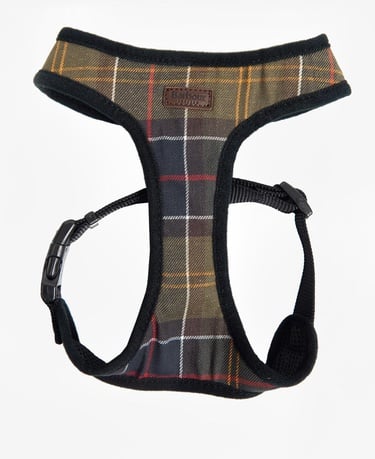  Barbour Tartan Köpek Göğüs Tasması