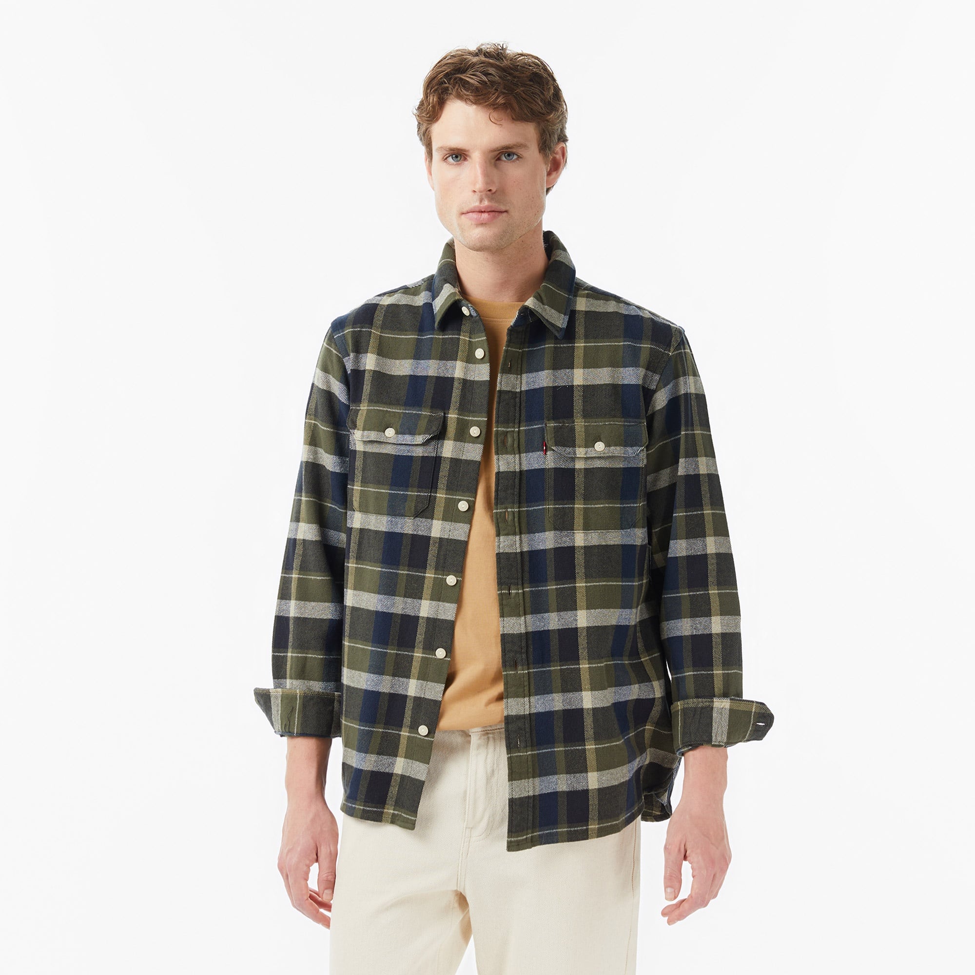 Levi's Jackson Worker Medina Plaid Deep Depths Erkek Yeşil Gömlek