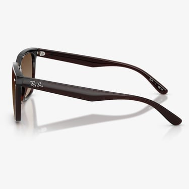  Ray-Ban  RB4466D Unisex Kahverengi Güneş Gözlüğü