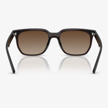  Ray-Ban  RB4466D Unisex Kahverengi Güneş Gözlüğü